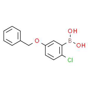 5-苄氧基-2-氯苯硼酸