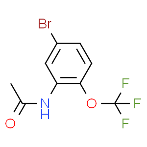 N-(5-溴-2-(三氟甲氧基)苯基)乙酰胺